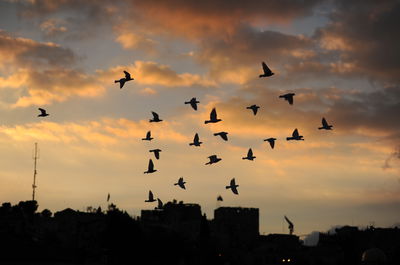 יונים בשמי ירושלים, אתמול