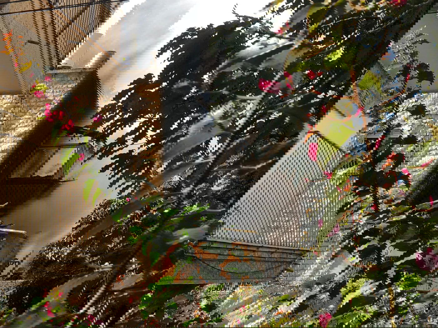 הילד ניסה להציל את כלבו מהאש ונפצע קל