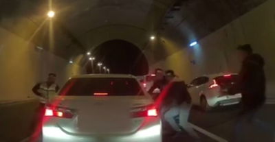 צפו: המעצר הדרמטי של גנבי הכבשים