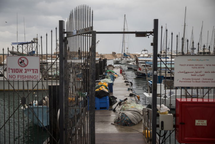 ים סערה וציפורים • גלריה חורפית מרהיבה
