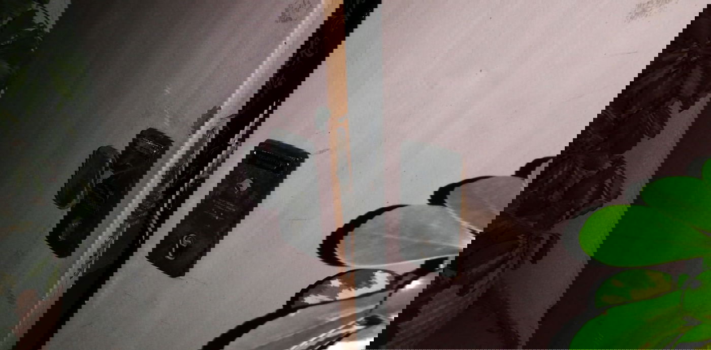 דלת הכניסה למשרדי החינוך העצמאי