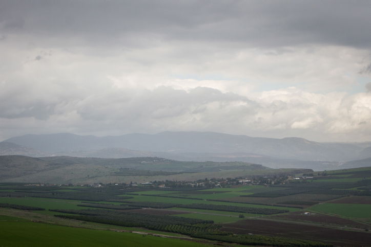 חורף סמוך לכינרת • גלריה באפור וירוק