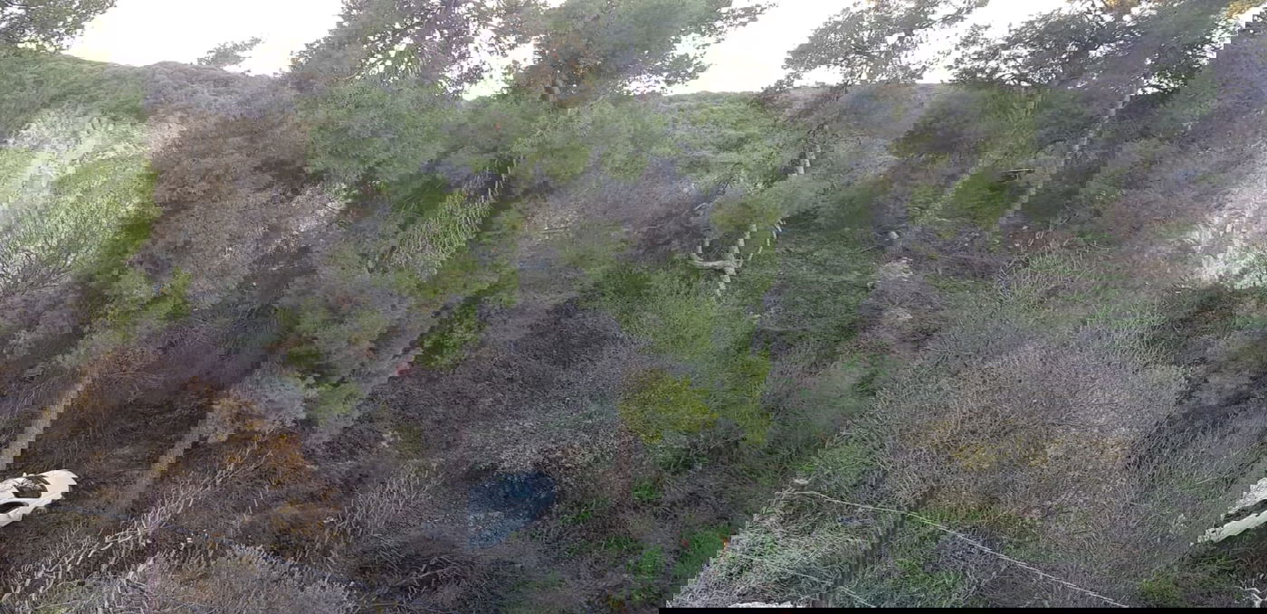 נהגת צנחה עם רכבה מגובה 30 מטר וחולצה