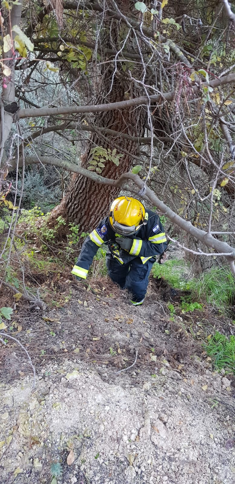 נהגת צנחה עם רכבה מגובה 30 מטר וחולצה