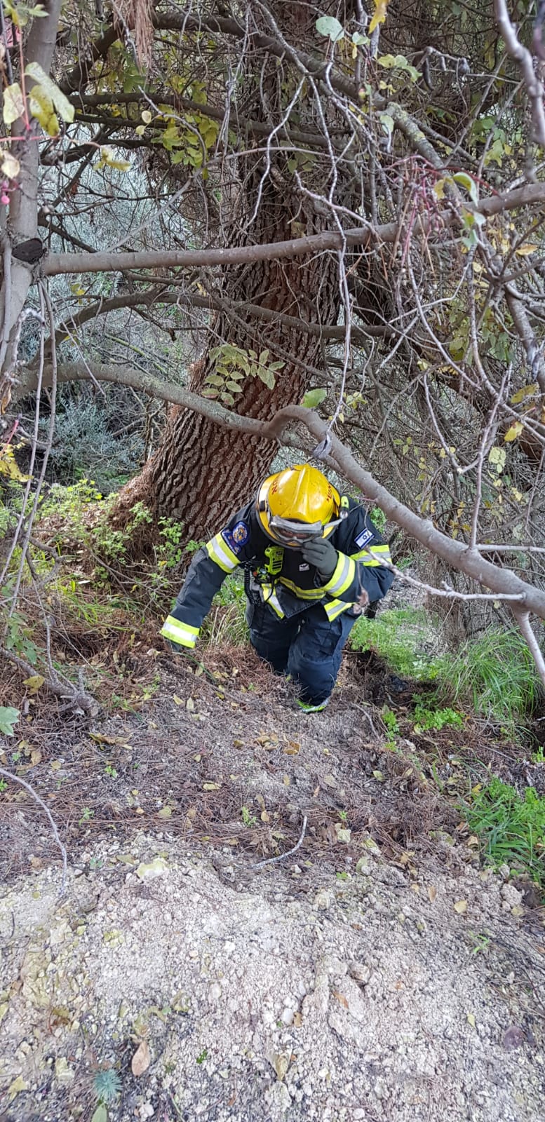 נהגת צנחה עם רכבה מגובה 30 מטר וחולצה