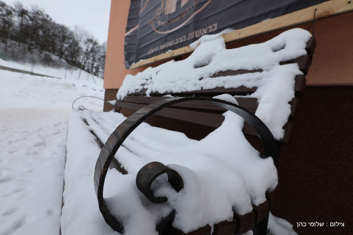 אלפים בציונו של בעל התניא בהאדיטש • צפו