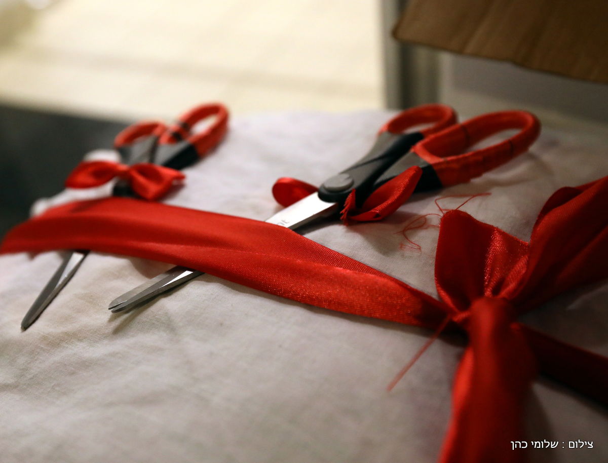 אלפים בציונו של בעל התניא בהאדיטש • צפו