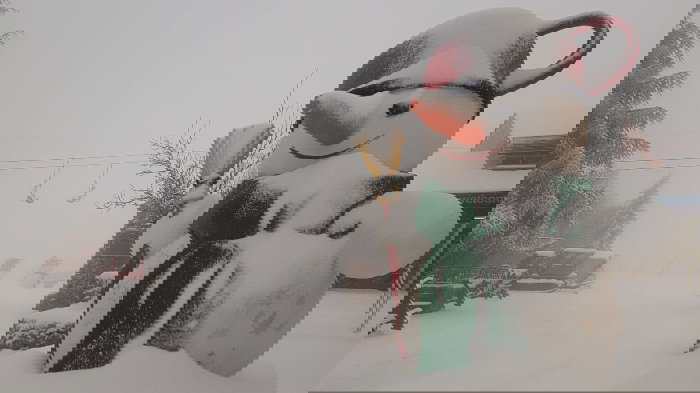 12 ס"מ שלג בחרמון: צפו בתיעוד מרהיב