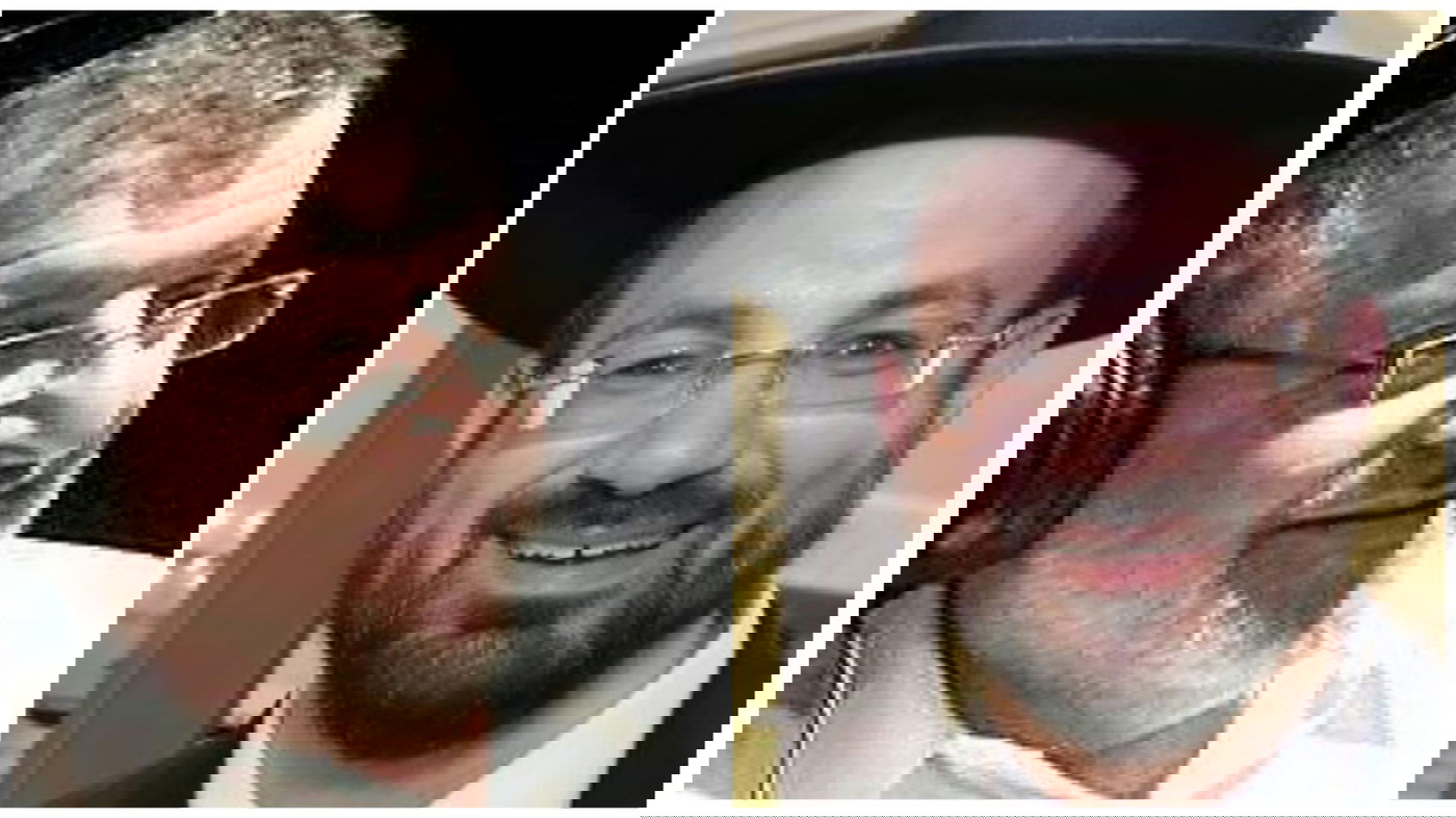 פלאי מול רביץ