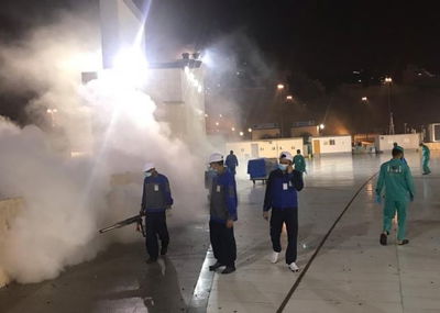 ניסיונות המיגור