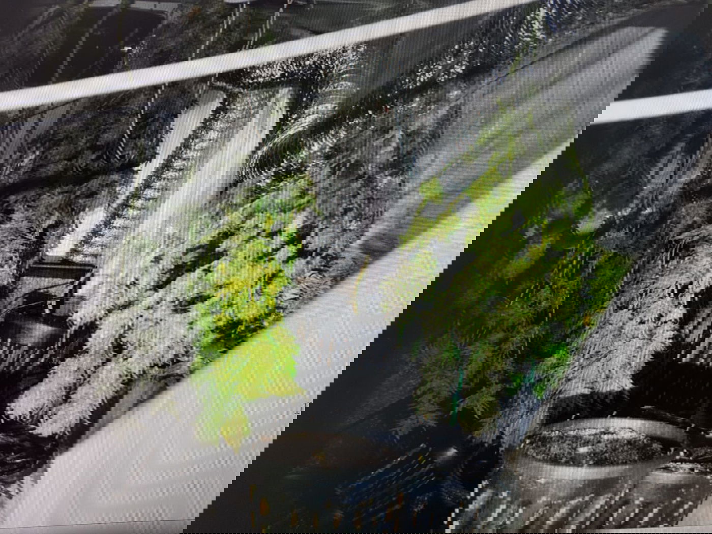 הפעיל מעבדת סמים - בלב השכונה החרדית