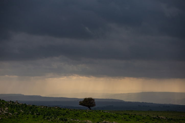 הסערה ברמת הגולן: גלריה חורפית מרהיבה