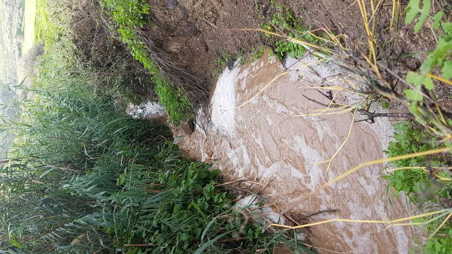 גלריית חורף צבעונית ומרהיבה מהגליל