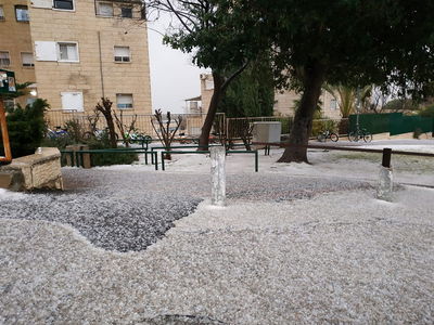 שלג? עדיין לא: הברד יורד ונערם בשכונת רמות בירושלים