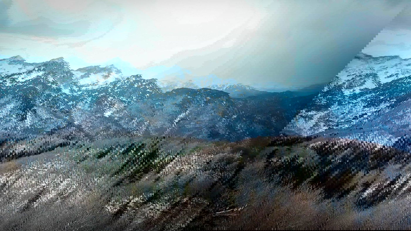 גלריה מרהיבה במיוחד מהרי האלפים • צפו