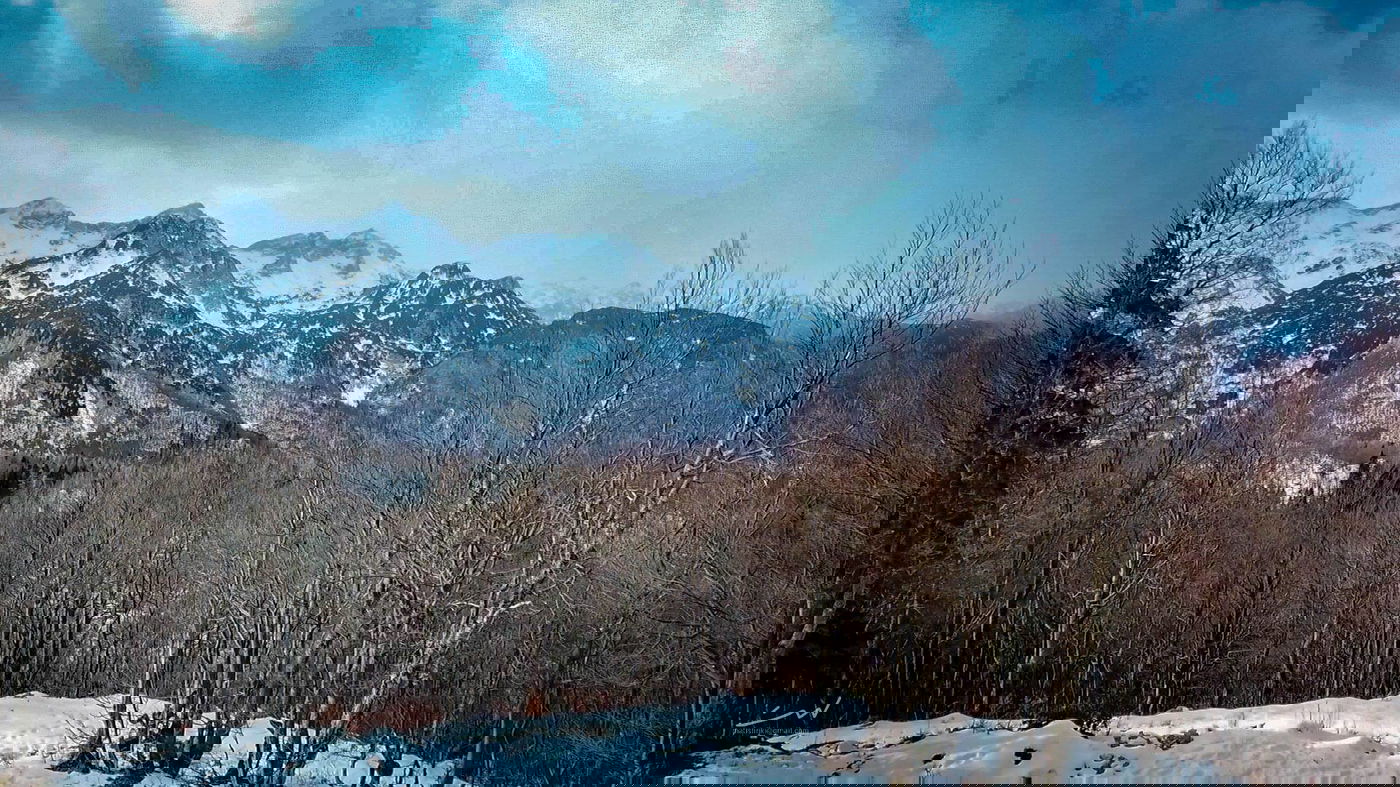 גלריה מרהיבה במיוחד מהרי האלפים • צפו