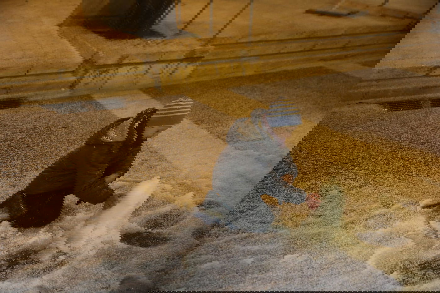 שלג מאכזב: הלימודים - כרגיל. תיעוד מי-ם