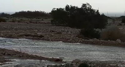 צפו בווידאו: זרימת הגשמים בנחל צאלים