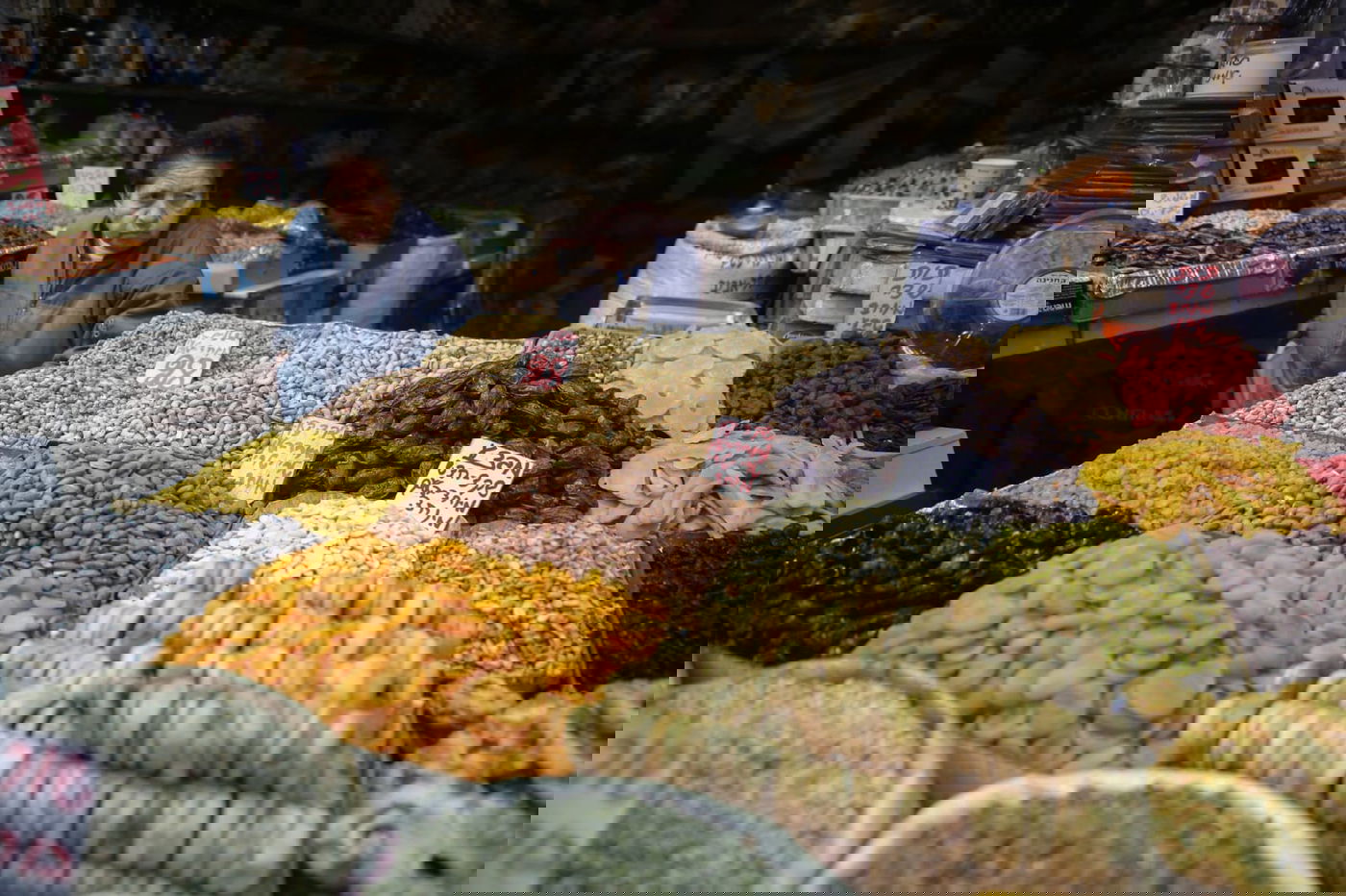 בערב שבת: עמך בית ישראל נערכים לט"ו בשבט