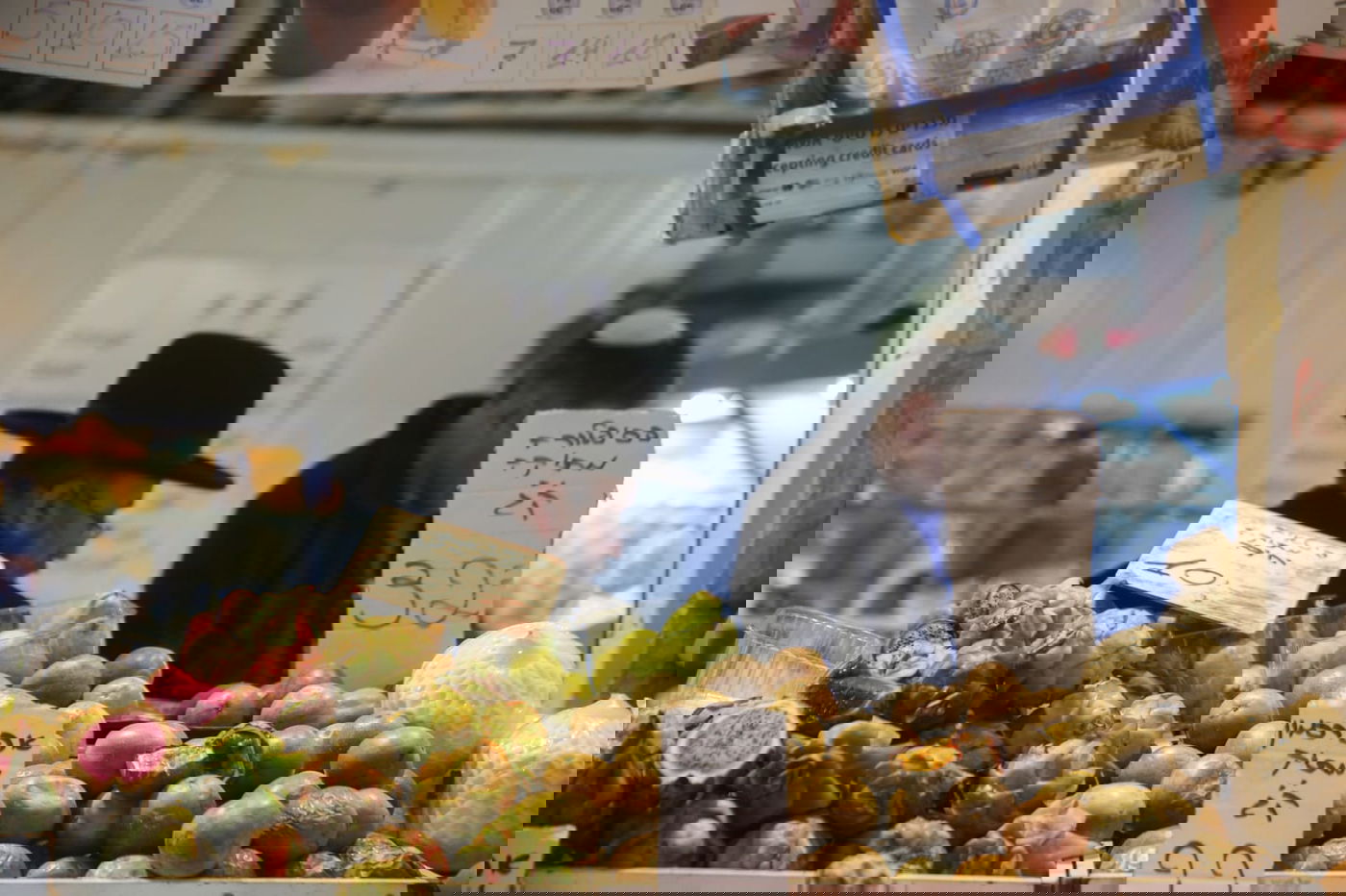 בערב שבת: עמך בית ישראל נערכים לט"ו בשבט