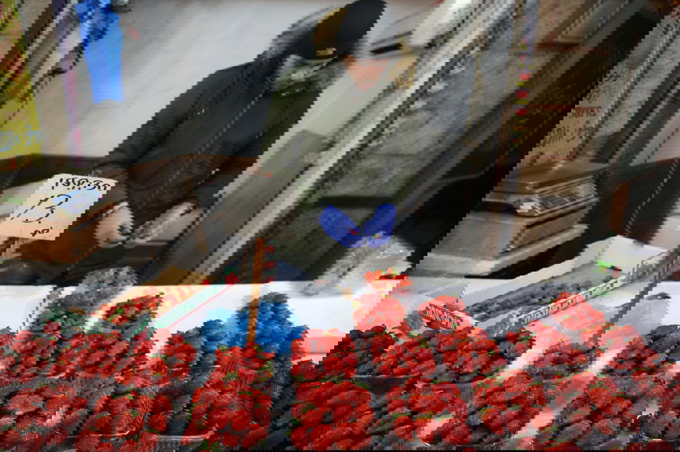 בערב שבת: עמך בית ישראל נערכים לט"ו בשבט