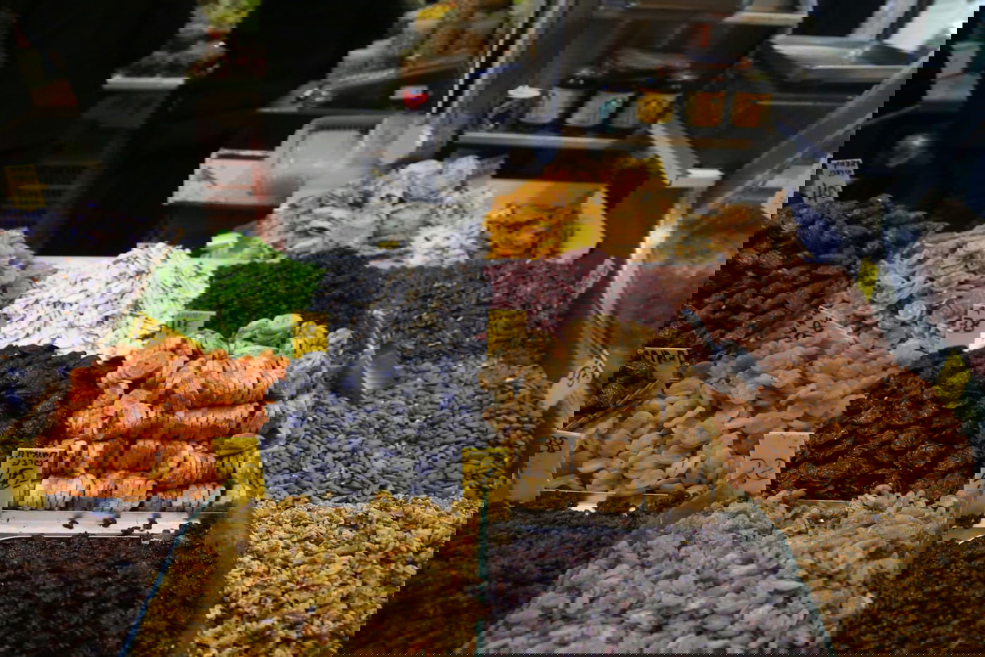 בערב שבת: עמך בית ישראל נערכים לט"ו בשבט