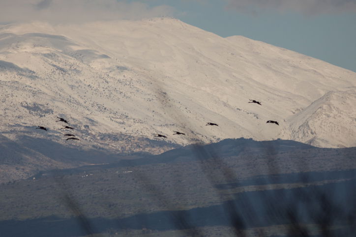 גלריה משמחת: מפל סער שוצף וגועש • צפו