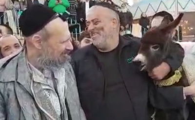 כשהחמור "ענה" לקדיש של המקובל הגר"ד קוק • צפו