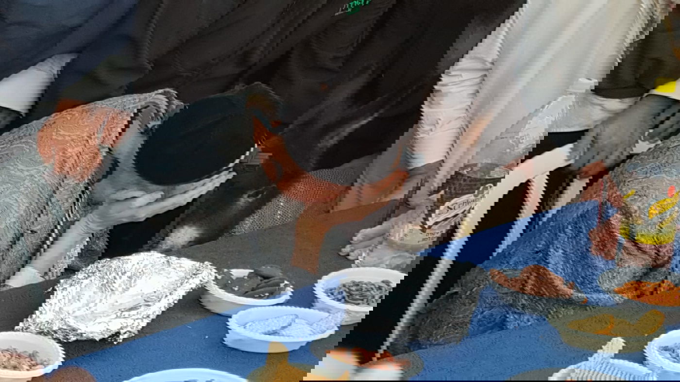 כשהחמור "ענה" לקדיש של המקובל הגר"ד קוק • צפו