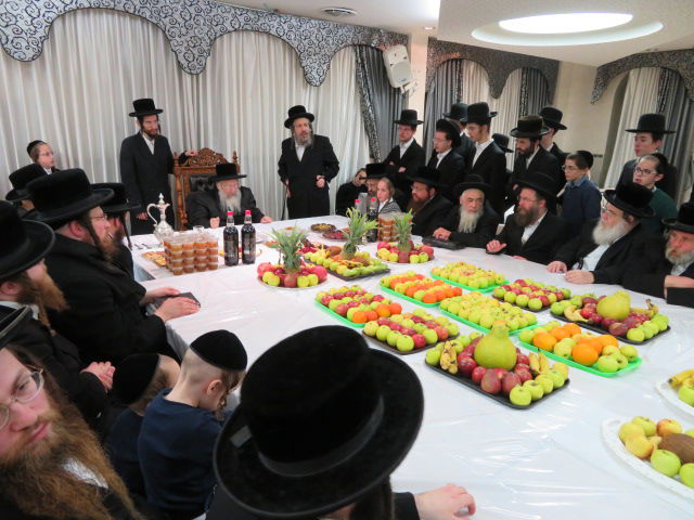 טיש ט"ו בשבט בשאץ ויז'ניץ ובנדבורנה - חיפה