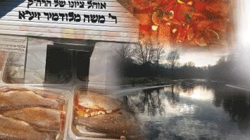 נותנים תקווה לזרע של קיימא אצל בנו של הקרלינר