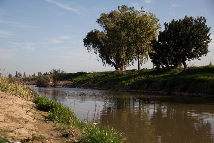 נחל אלכסנדר השבוע