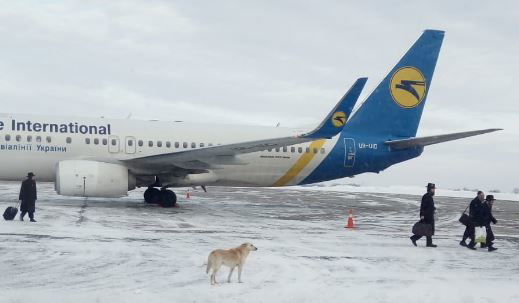 נוסעים חסידיים בטיסת 'אוקראין' השבוע