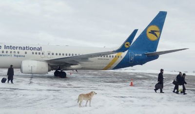 נוסעים חסידיים בטיסת 'אוקראין' השבוע