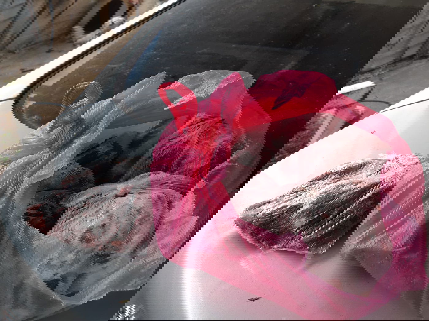 תושב ירכא נעצר עם 4 חוגלות, 2 חוחיות ו-14 תורים