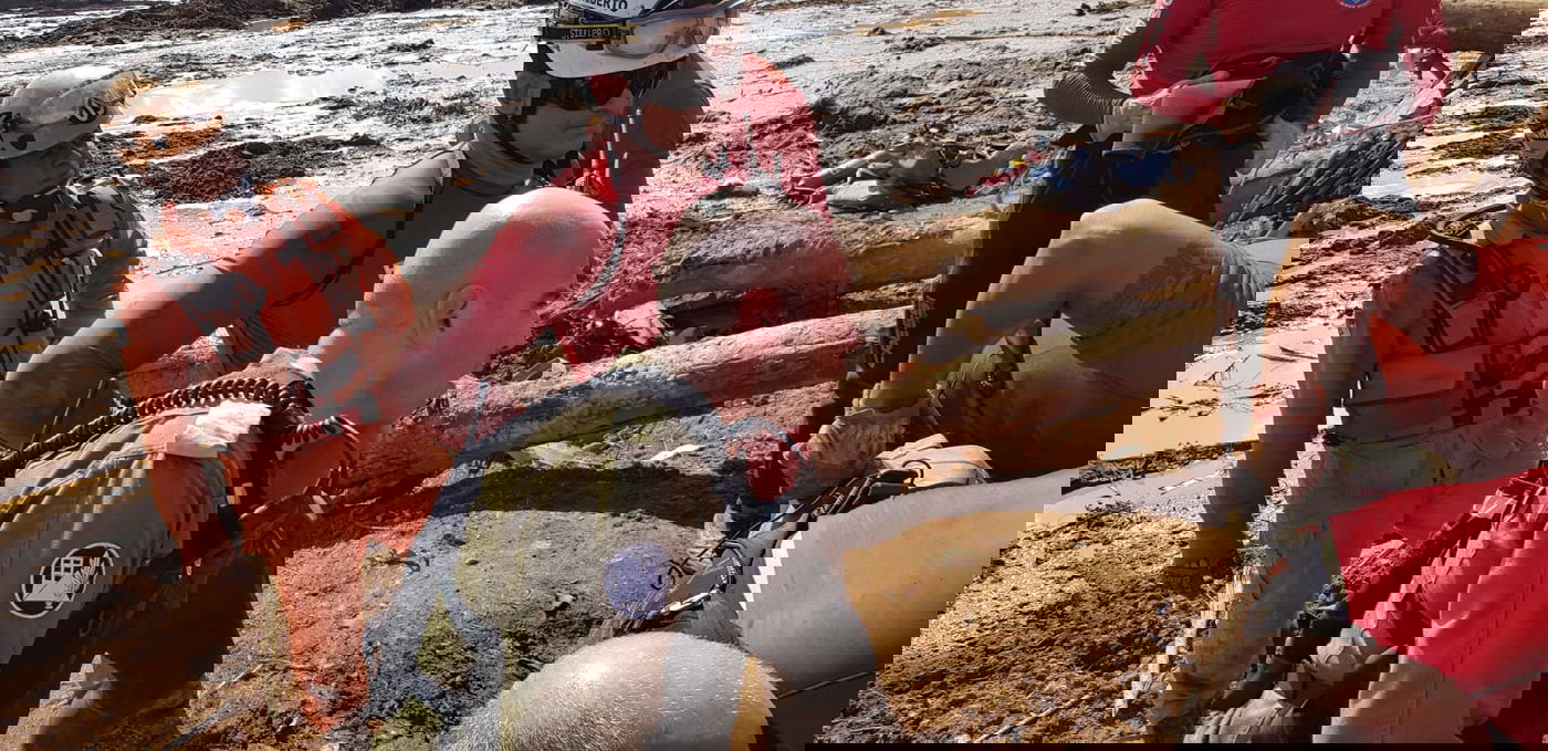 משלחת צה"ל מחפשת נעדרים בברזיל. צפו