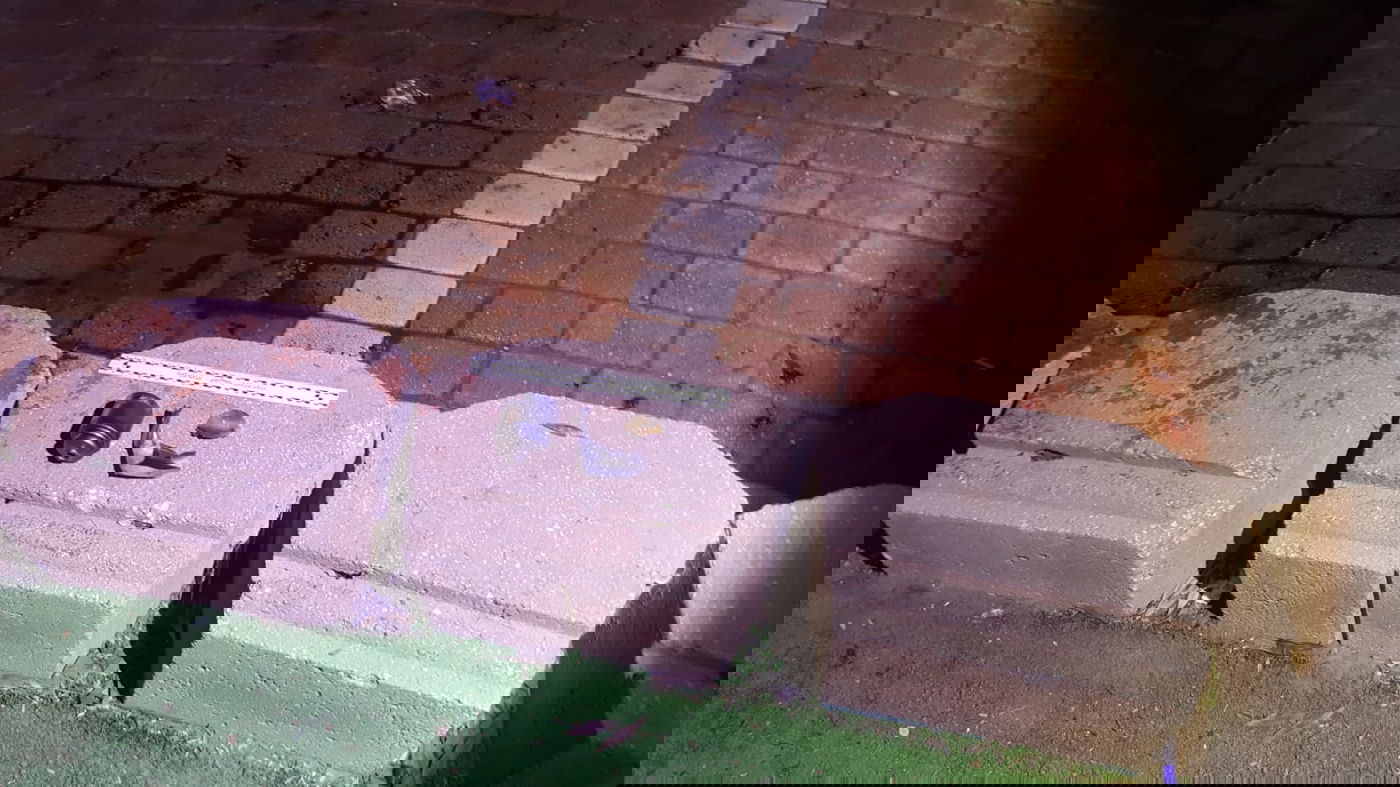 דוברות איחוד הצלה