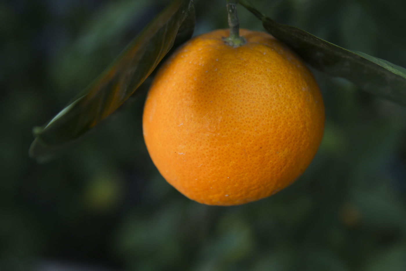 בן 60 נחנק כשאכל תפוז ופונה במצב קשה