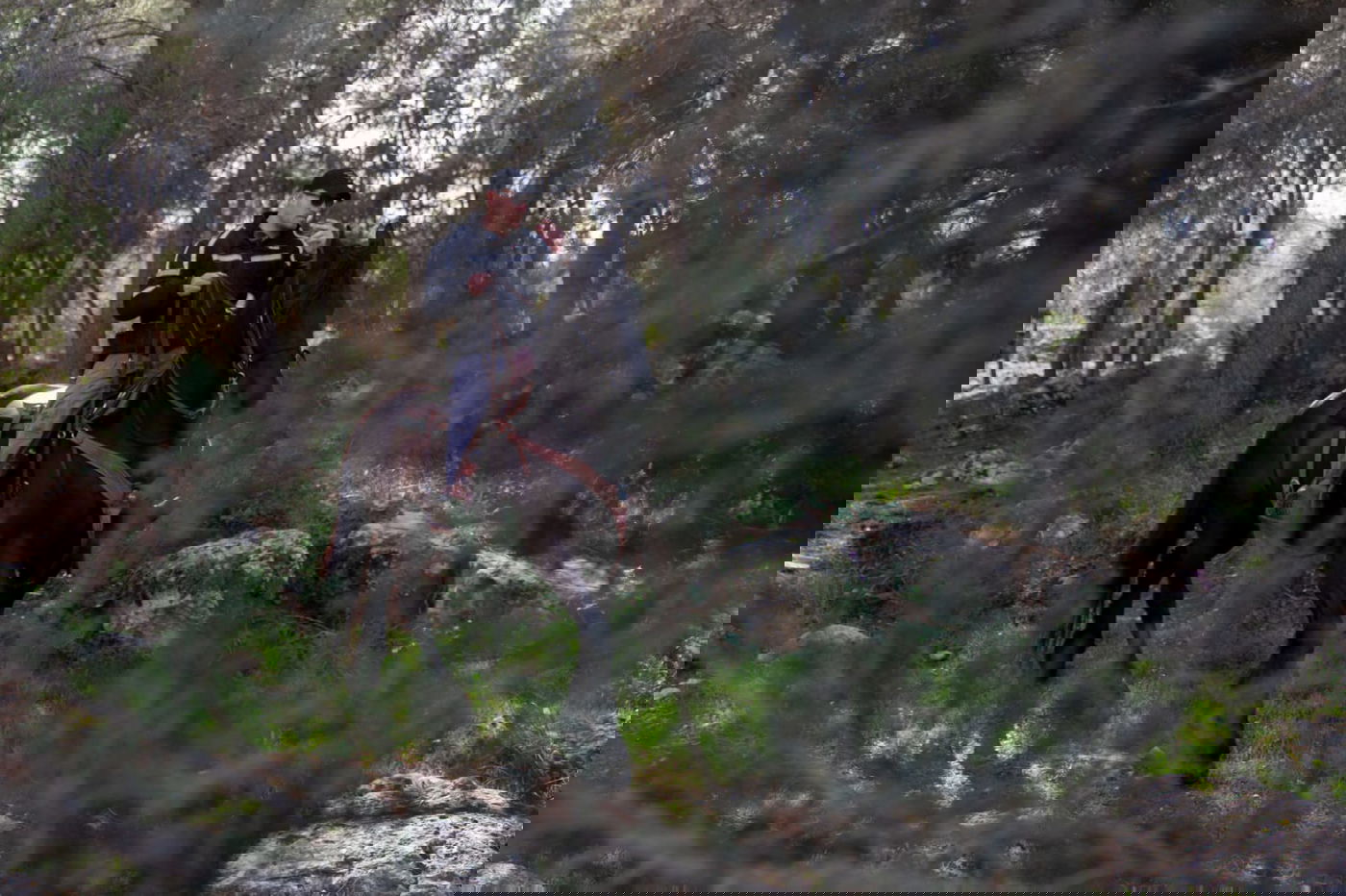 הותר לפרסום שם הנרצחת: אורי אנסבכר