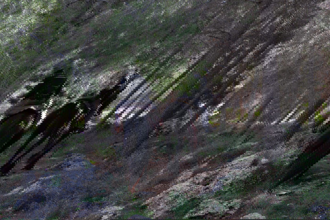 הותר לפרסום שם הנרצחת: אורי אנסבכר