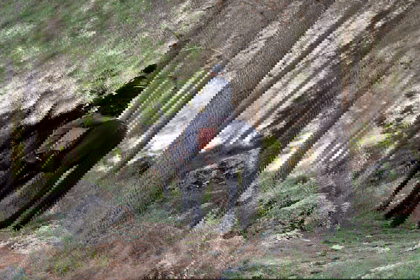 הותר לפרסום שם הנרצחת: אורי אנסבכר