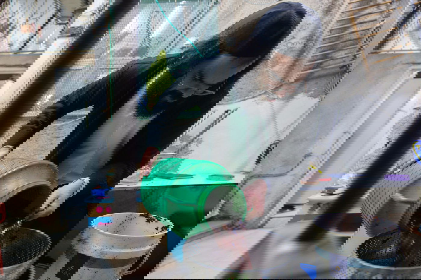 שלב אחר שלב: כך מכינים יין בתוך הבית. צפו