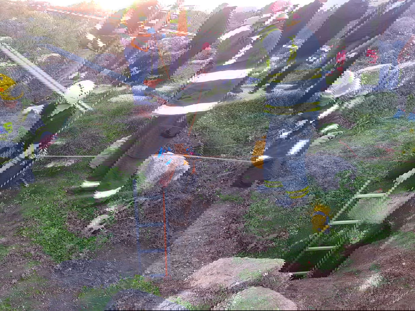 שני נערים נפלו ליער קובי בכרמיאל וחולצו