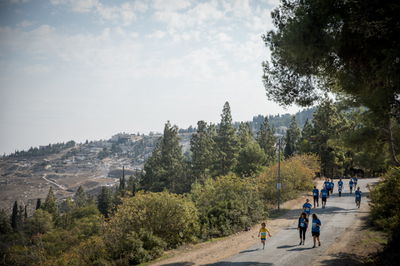 אילוסטרציה