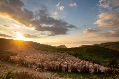 שקיעה ברמת הגולן