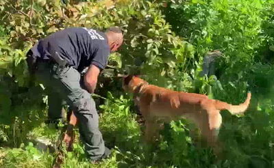 הכלבה המשטרתית "לוקה" איתרה רובה מאולתר. צפו