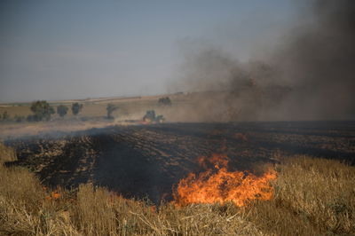 שריפה בעוטף עזה