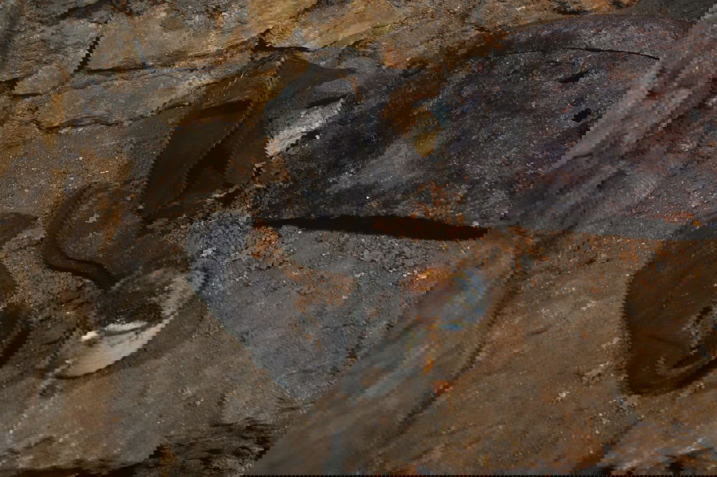 גילוי המערה