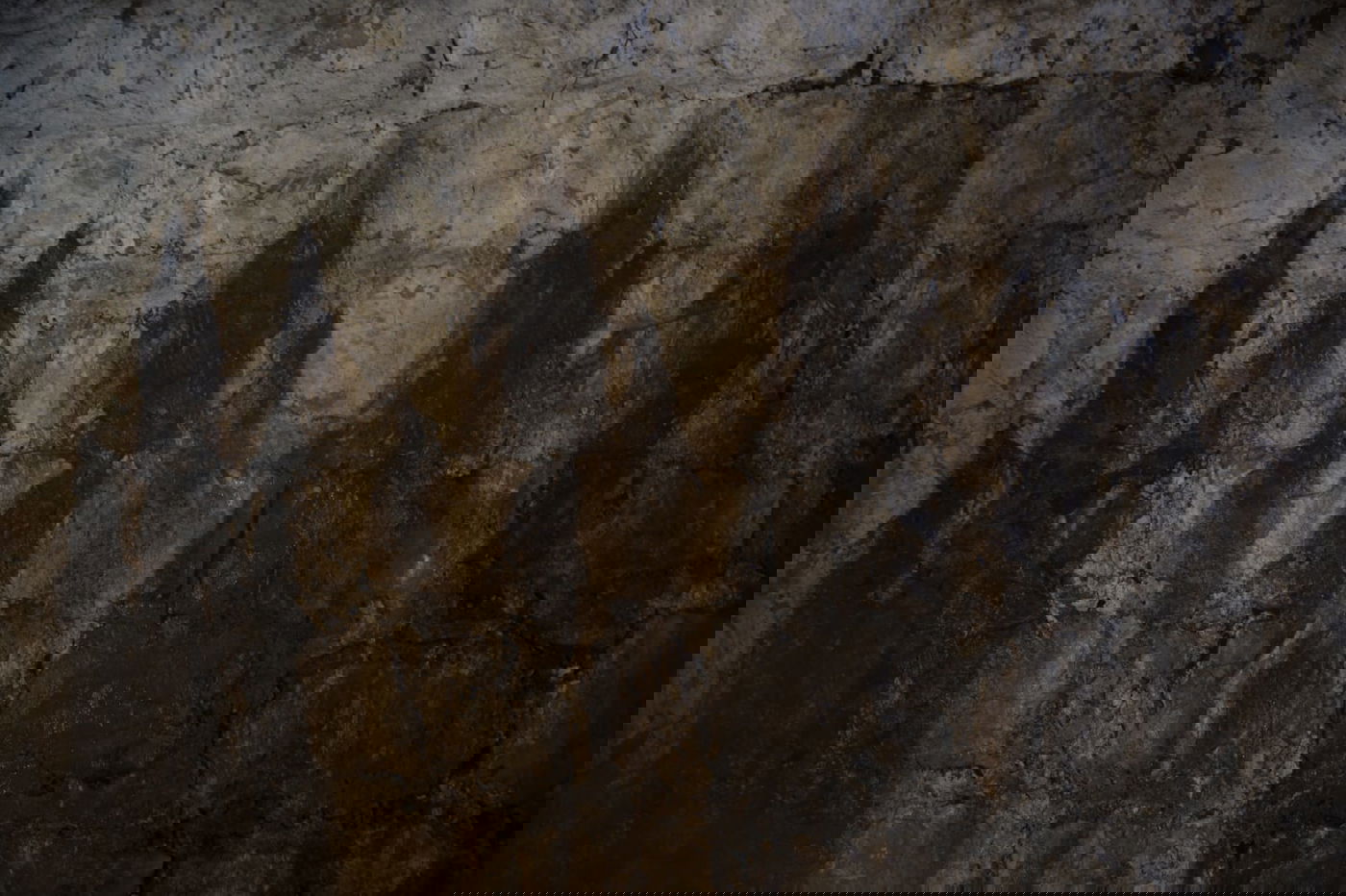 גילוי המערה