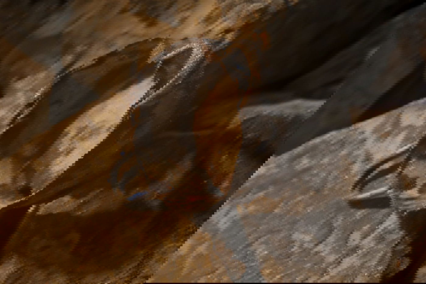 גילוי המערה